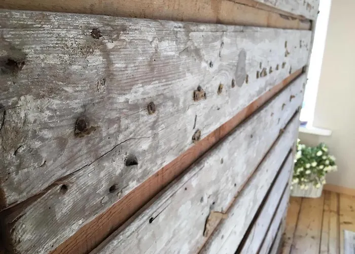 Karja Tented * 哈普萨卢